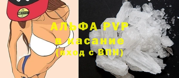 таблы Бородино