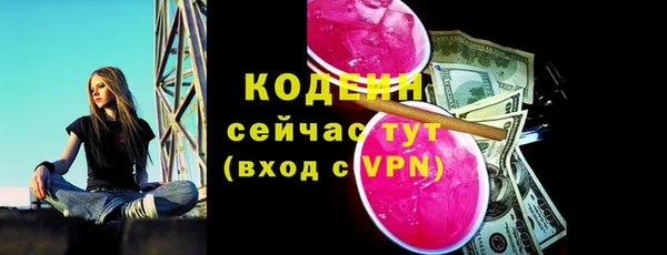 таблы Бородино