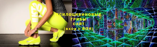 хмурый Новозыбков