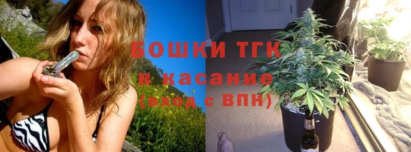 таблы Бородино