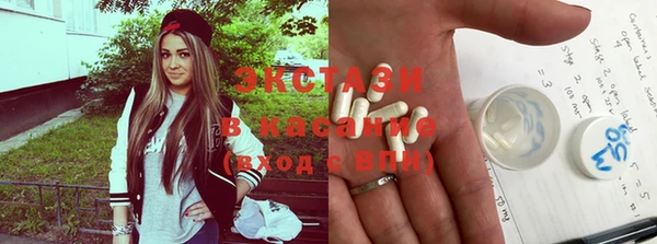 хмурый Новозыбков